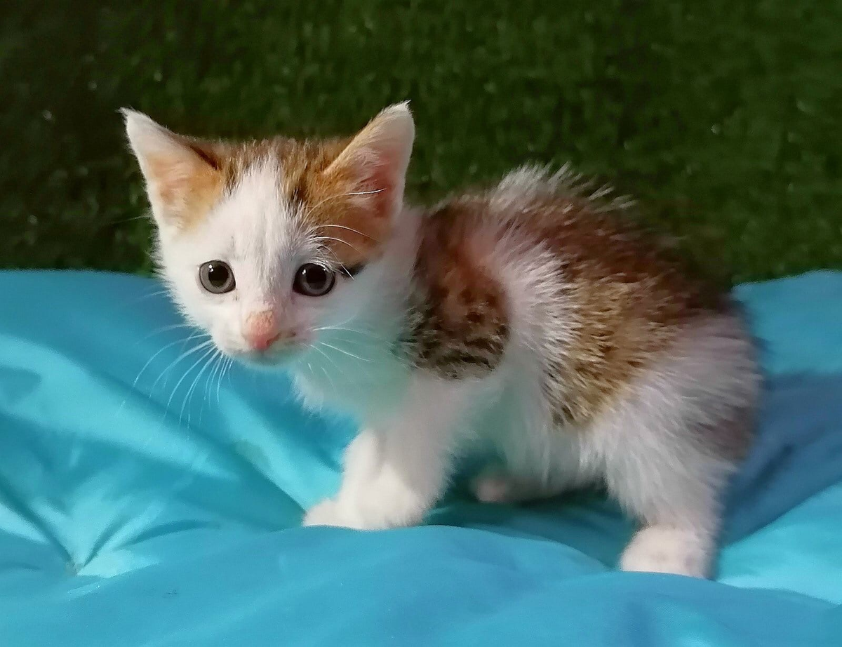 Хотим домой!