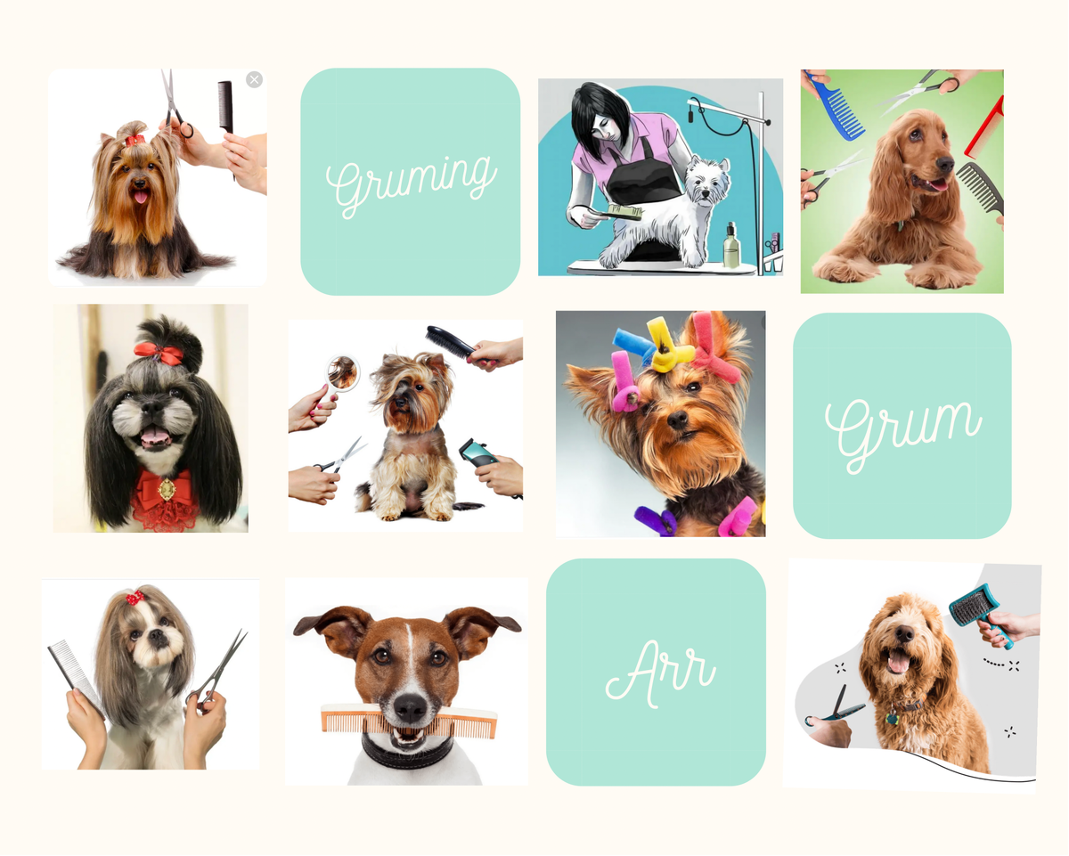 Груминг-это в первую очередь забота о четвероногом друге, проявление одной из сторон любви…