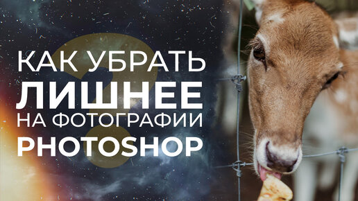 Как убрать лишнее на фотографии в Photoshop?