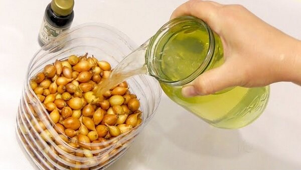 Обработка лука севка