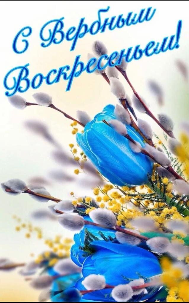 Картинка взята с просторов интернета в свободном доступе.