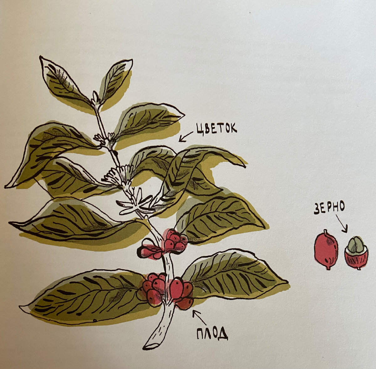 Книга Вкусная история. Димитри Делма, Гийом Рейнар.