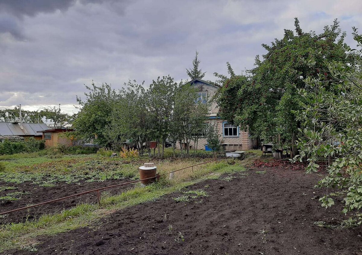 фото из открытого доступного источника сети интернет