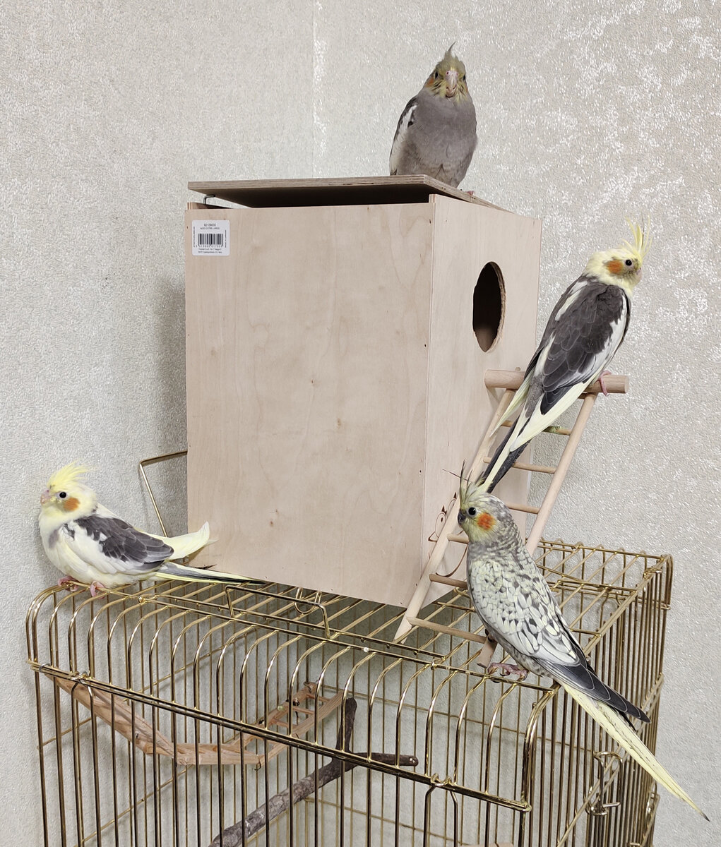 Вот прям так и приходили, полным составом.