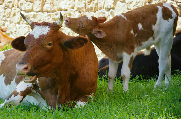  Игорь Самохвалов/ПГ