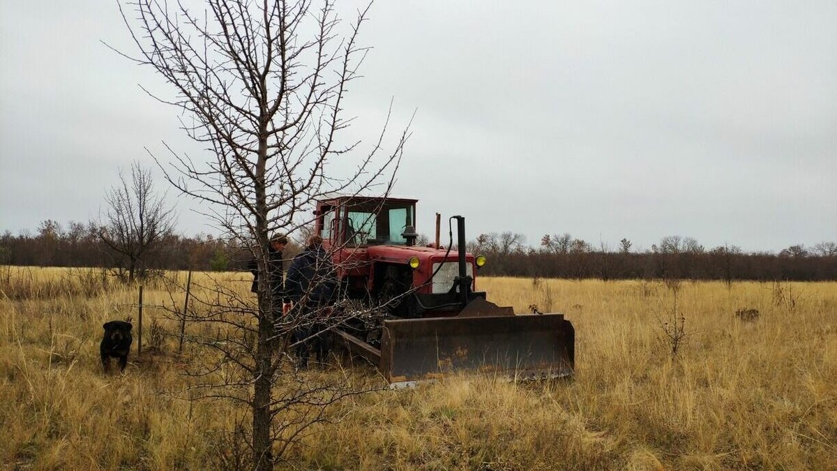 Тракторист-самоучка из Октябрьского района лишился права управлять ...