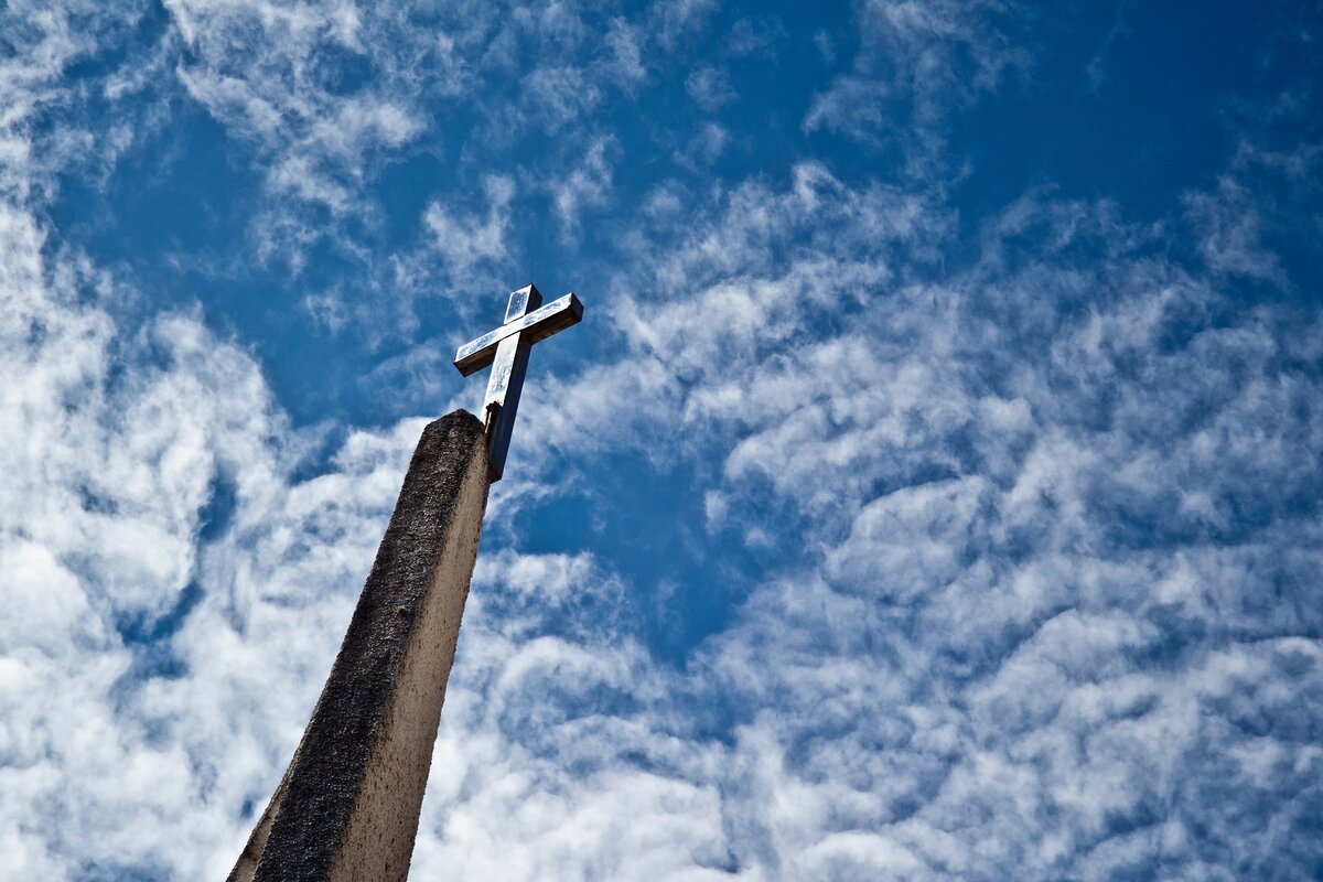 https://pixabay.com/ru/photos/%d0%ba%d1%80%d1%83%d1%81-%d0%b8%d0%b8%d1%81%d1%83%d1%81-%d0%b6%d0%b5%d1%80%d1%82%d0%b2%d0%be%d0%bf%d1%80%d0%b8%d0%bd%d0%be%d1%88%d0%b5%d0%bd%d0%b8%d0%b5-1092672/