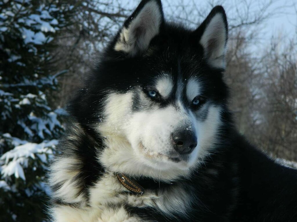 ФОТО: из открытых источников