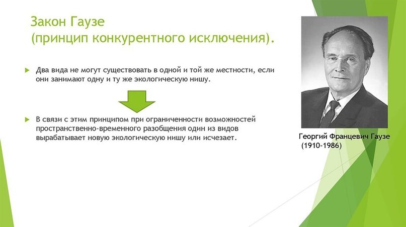 Закон конкурентного исключения примеры