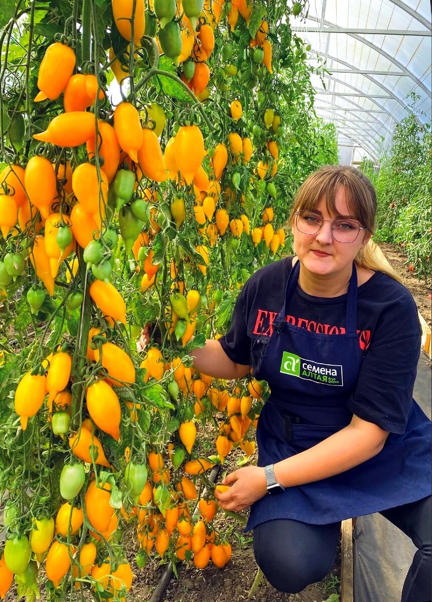 Фото от Агрофирмы "Семена Алтая"