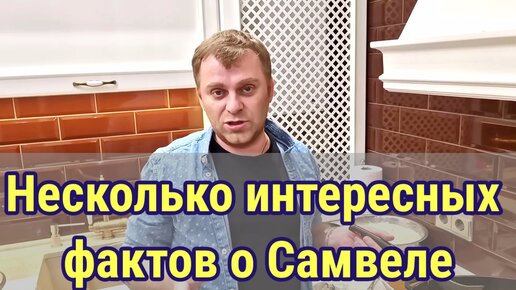 Несколько интересных фактов о Самвеле. Обзор Grandeniko Vlog (своим голосом)