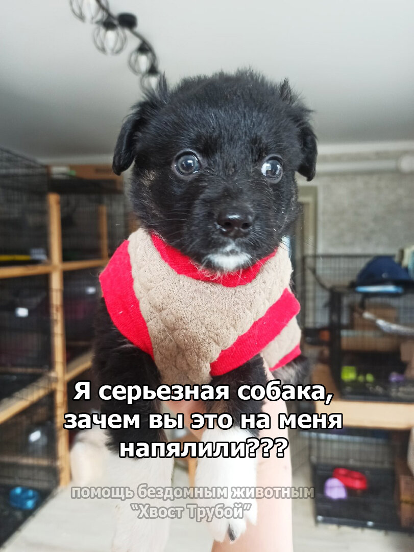 -1-2