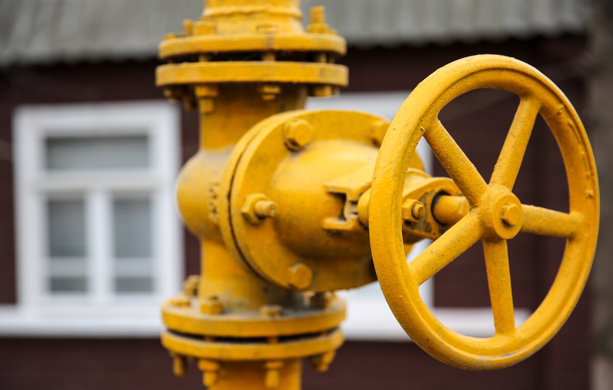 Елена Афонина/ТАСС, архив