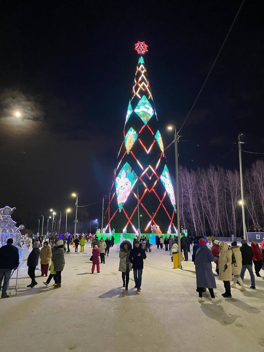 Самая высокая елка в России