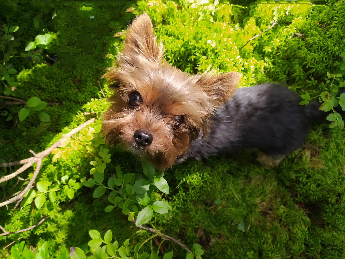 Из личного архива 