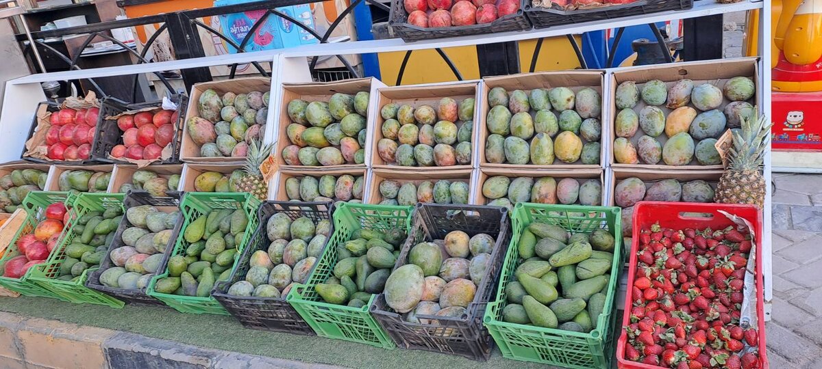 Фото автора канала Арабская кухня для Дзен. Хургада, манго.