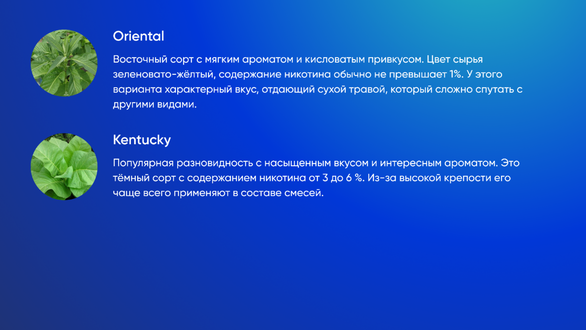 Что находится в составе жевательного табака | Nicton | Комплексное  снабжение никотиновых производств | Дзен