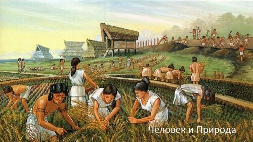 Человек и природа - едины.