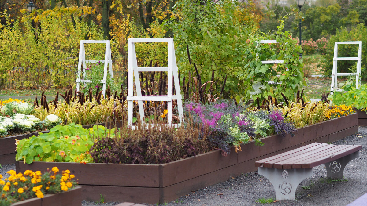 2 фото, листайте