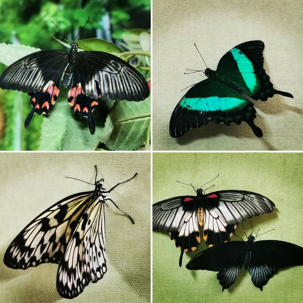 Фото автора канала 