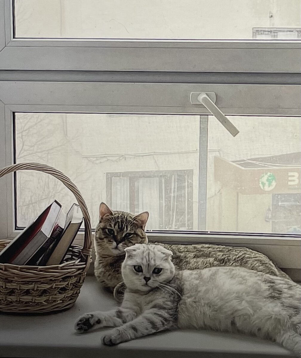 Лео и Тиффани (страйт и фолд)