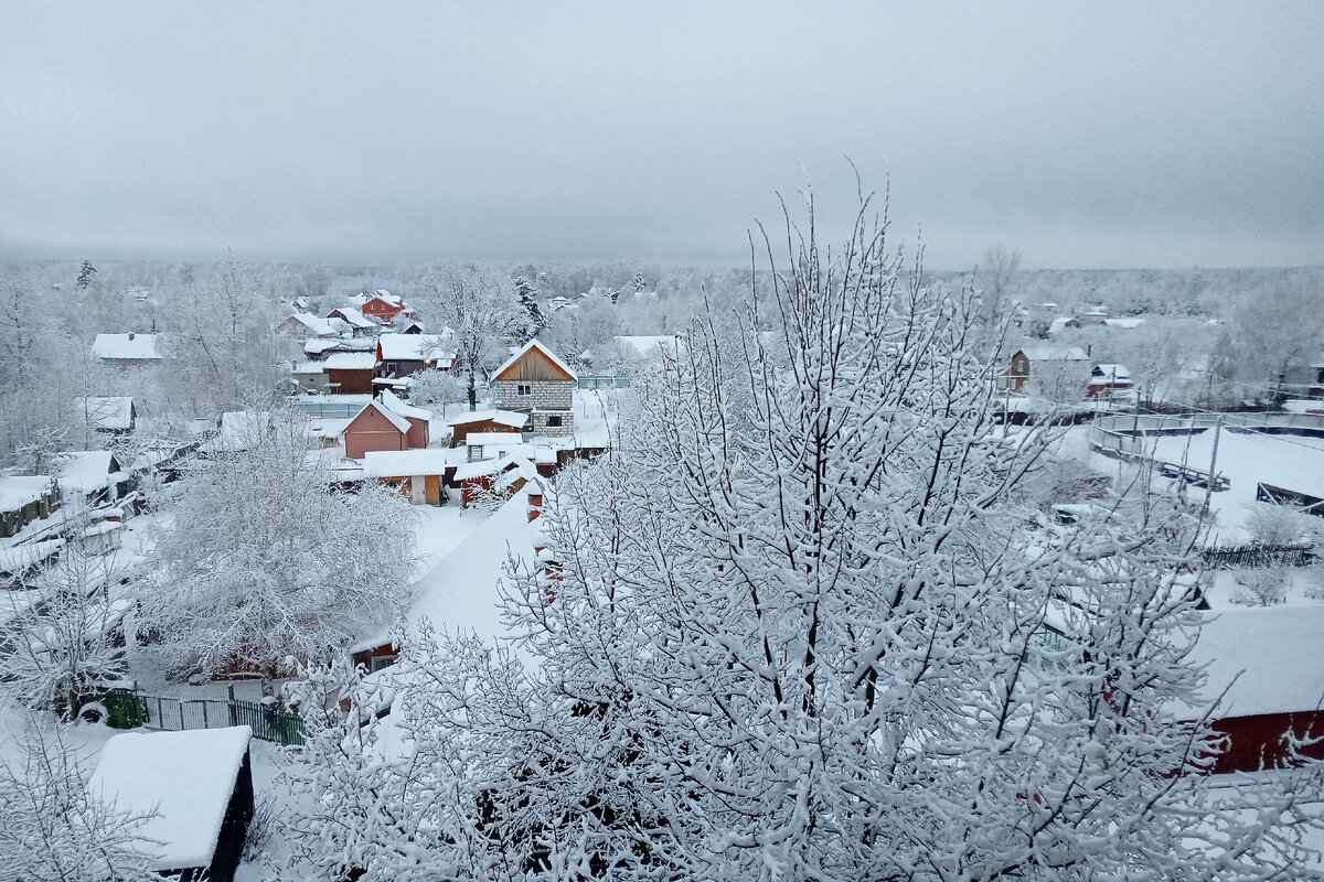 Фото автора.