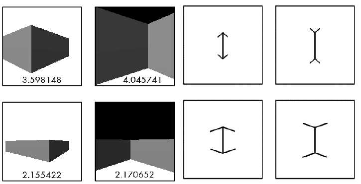     Иллюзия Мюллера-Лайера / Пресс-служба СПбГУ