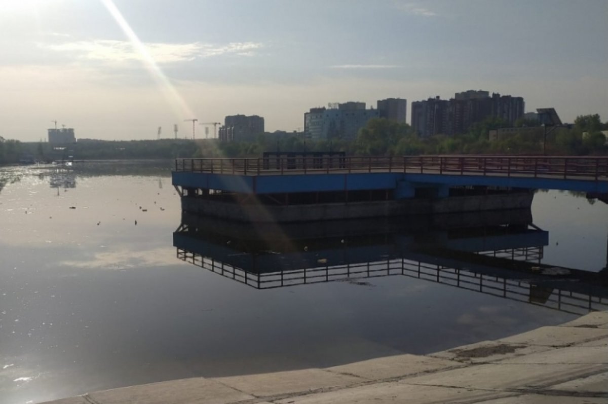    В Ростове спасли мужчину, который пытался вытащить собаку из водоема