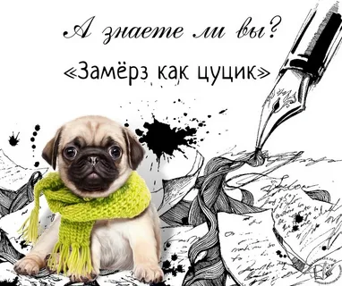   ?    , 