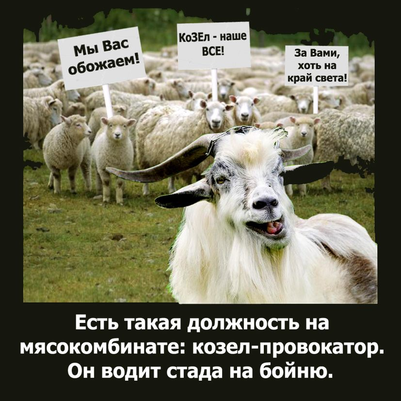 Что такое ко то