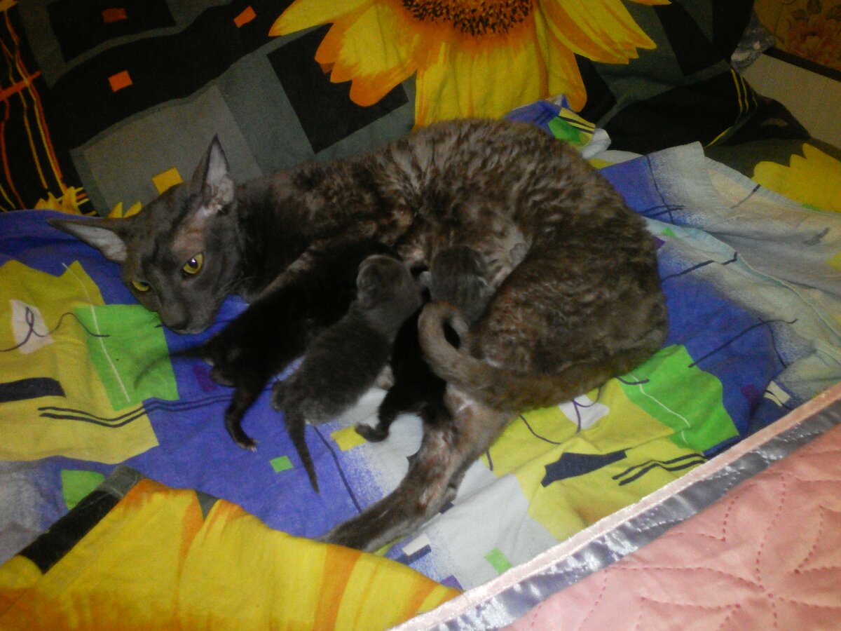 У нас пополнение ))))