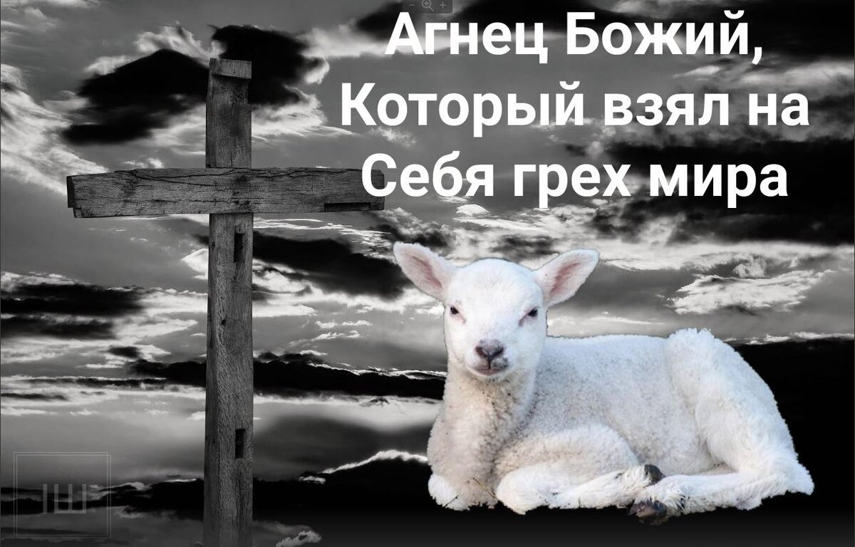 агнец божий все горячие картинки