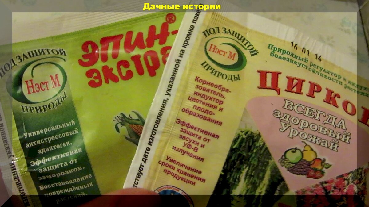 Как правильно применять "Эпин Экстра" и "Циркон": как правильно ...