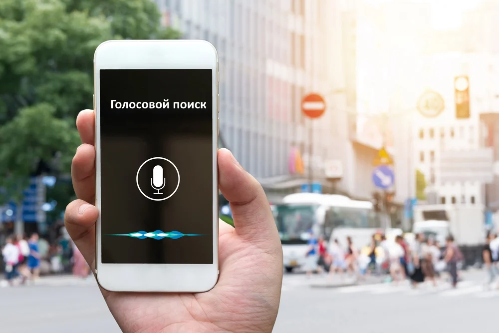 фото из статьи https://zen.yandex.ru/media/alfaboss/kak-optimizirovat-golosovoi-poisk-v-2018-godu-5b34a2f2014d8a00a9bd0c49 