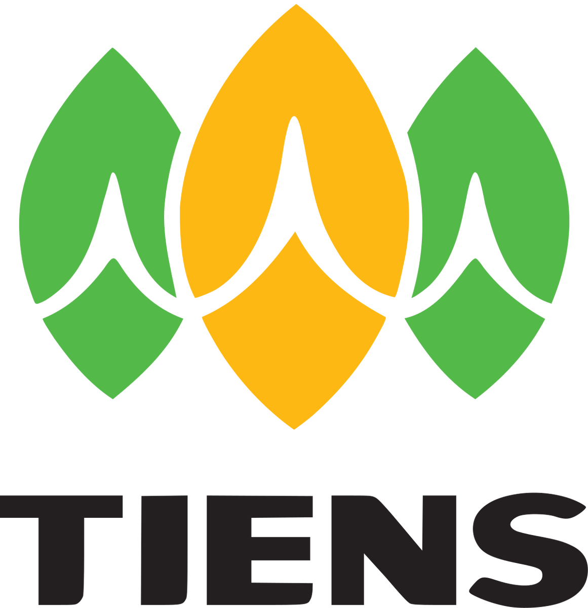 Tiens Group Co. Ltd