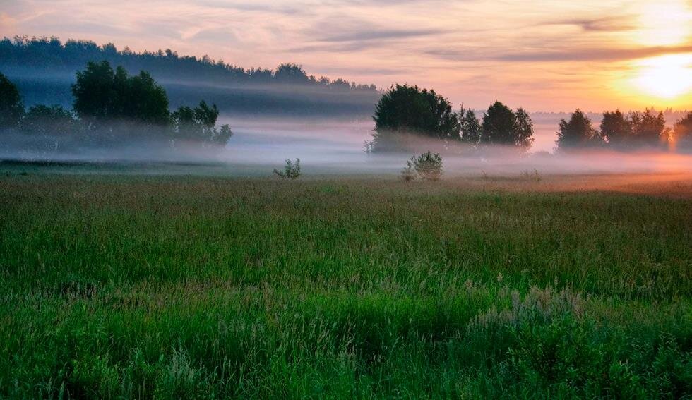 Фото – arhivurokov.ru