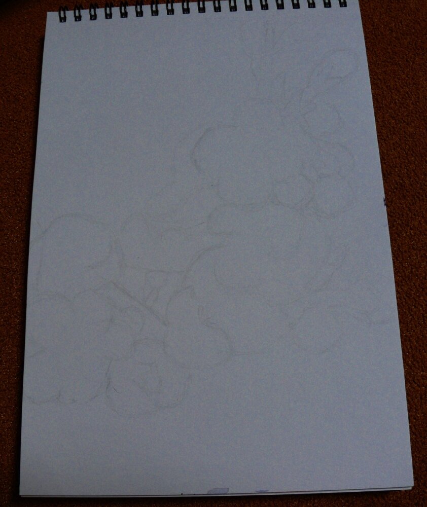 Карандашный набросок