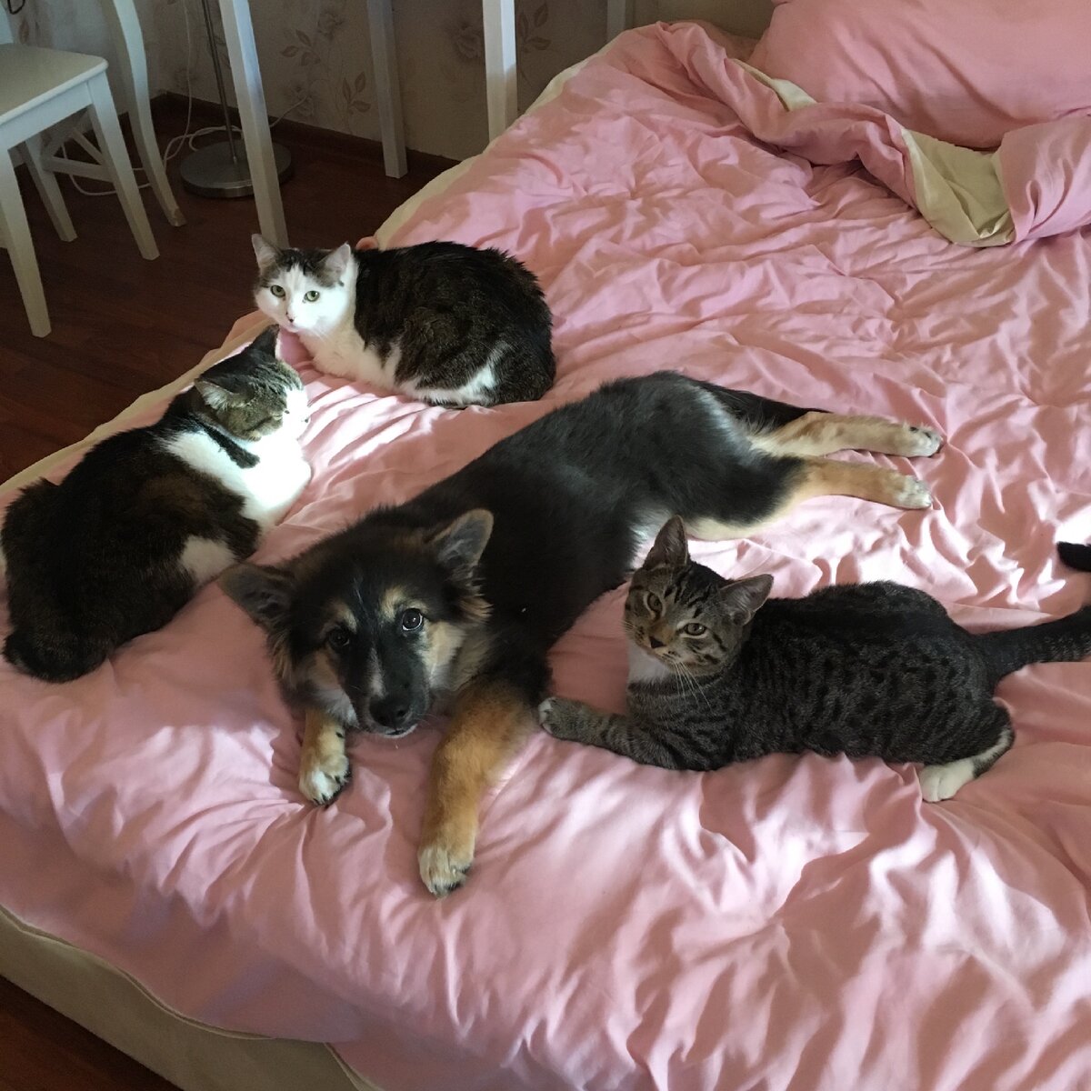 Наш зоопарк