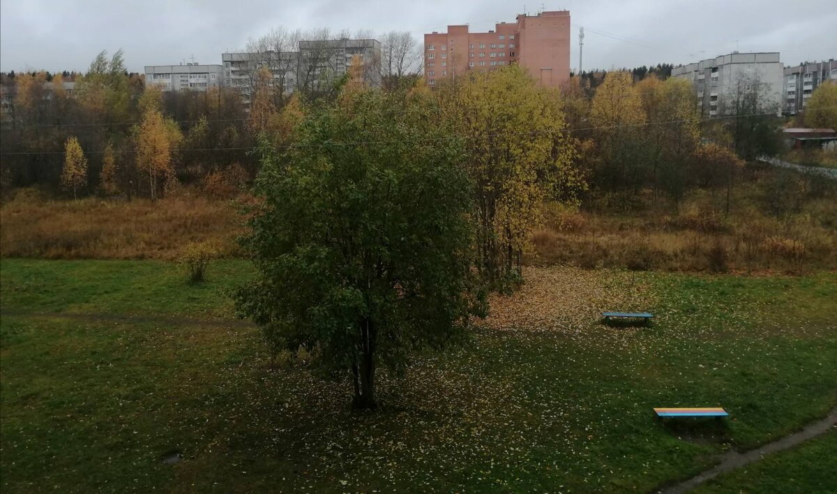 Осень, осень....