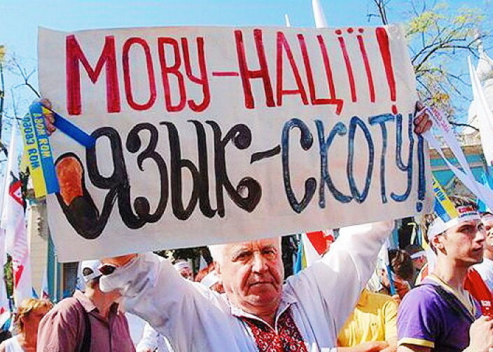 Фото взято из открытых источников