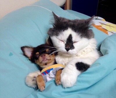 Источник: www.instagram.com/yutafamily