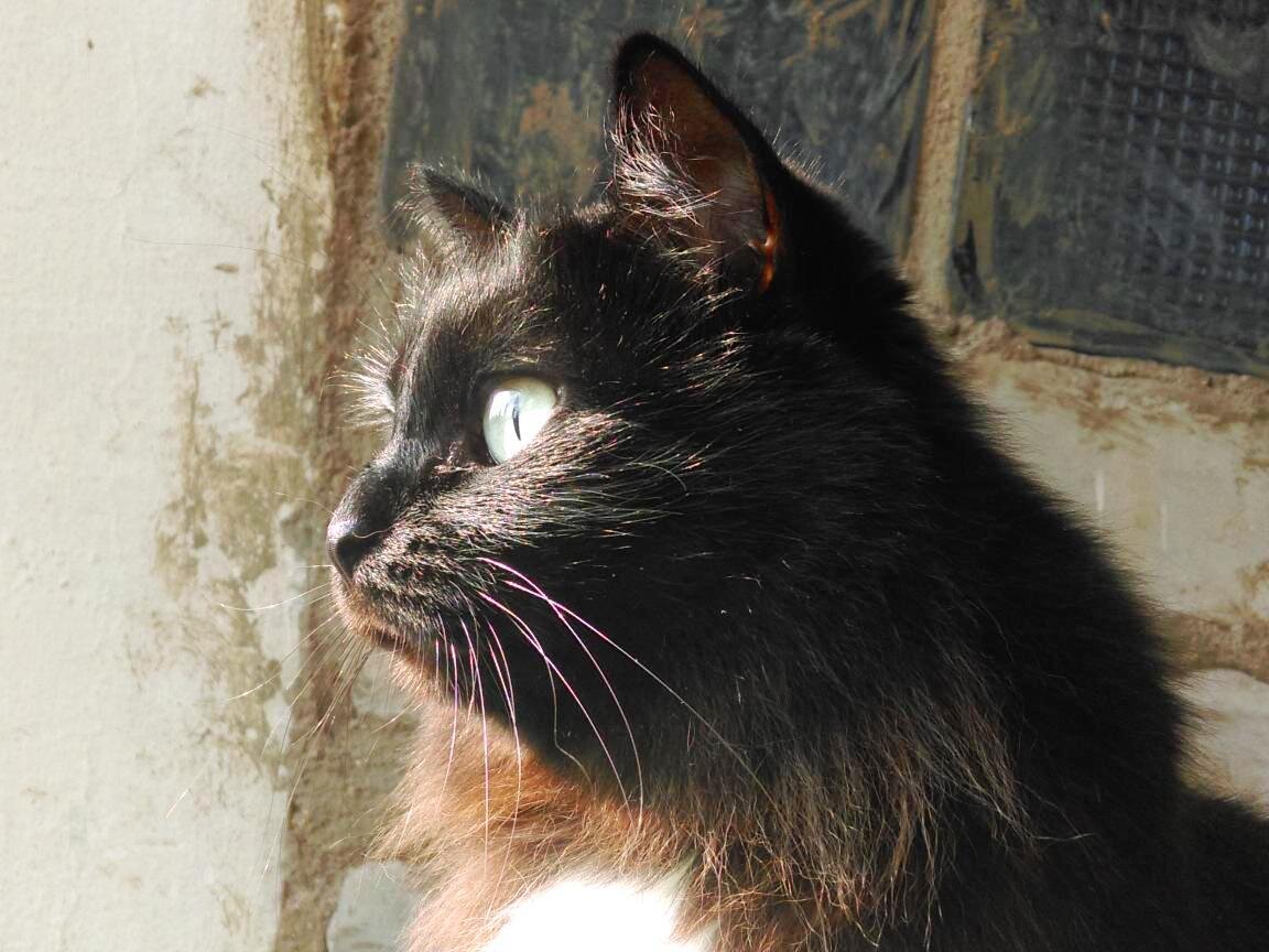 - Эй! Я тебе говорю!