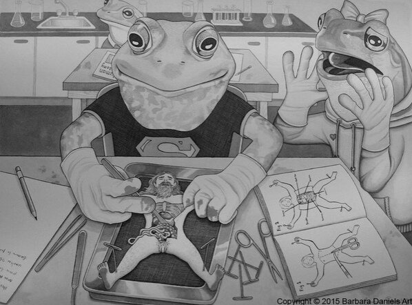 Лягушка препарирует человека.