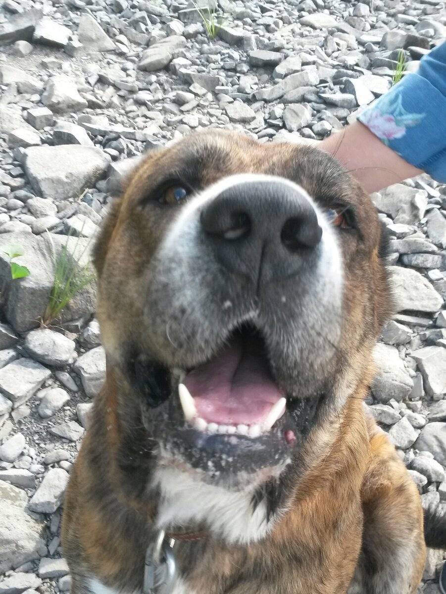 Здесь и далее фото автора