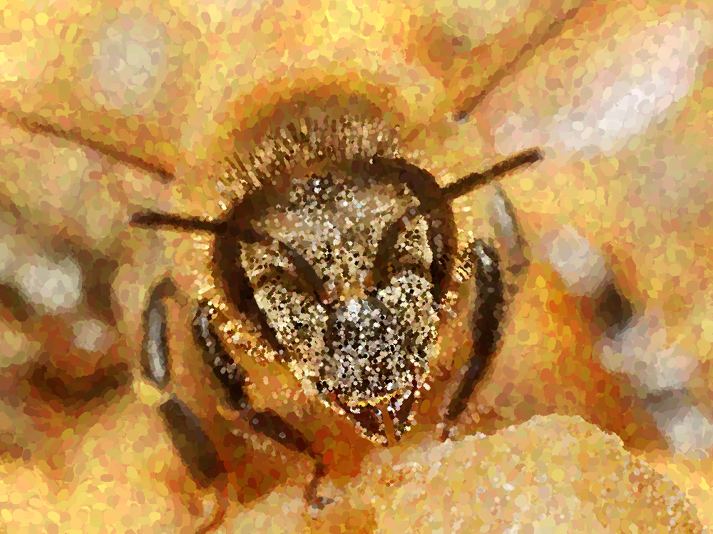 Королева пчёл 