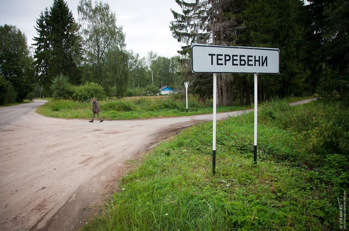 Сельский населенный пункт. Теребени Псковская область. Деревня Теребени Псковская область. Теребени-Теребени. Школа в Теребени Опочецкий район.