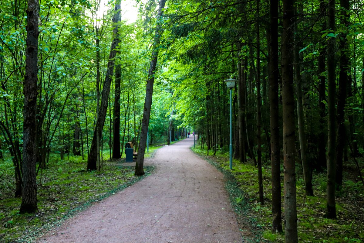 Дорожки в парке Рассказовка