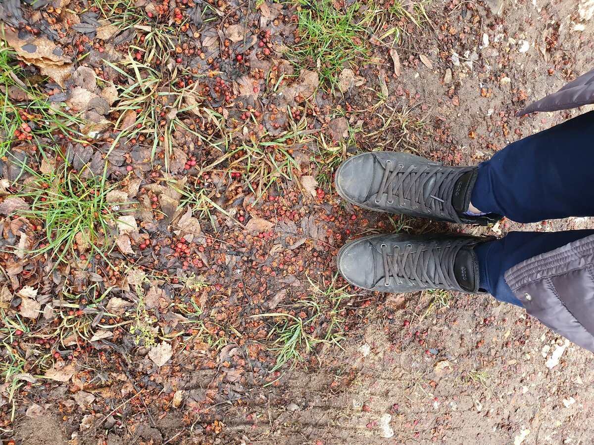 ©Пряничный домик