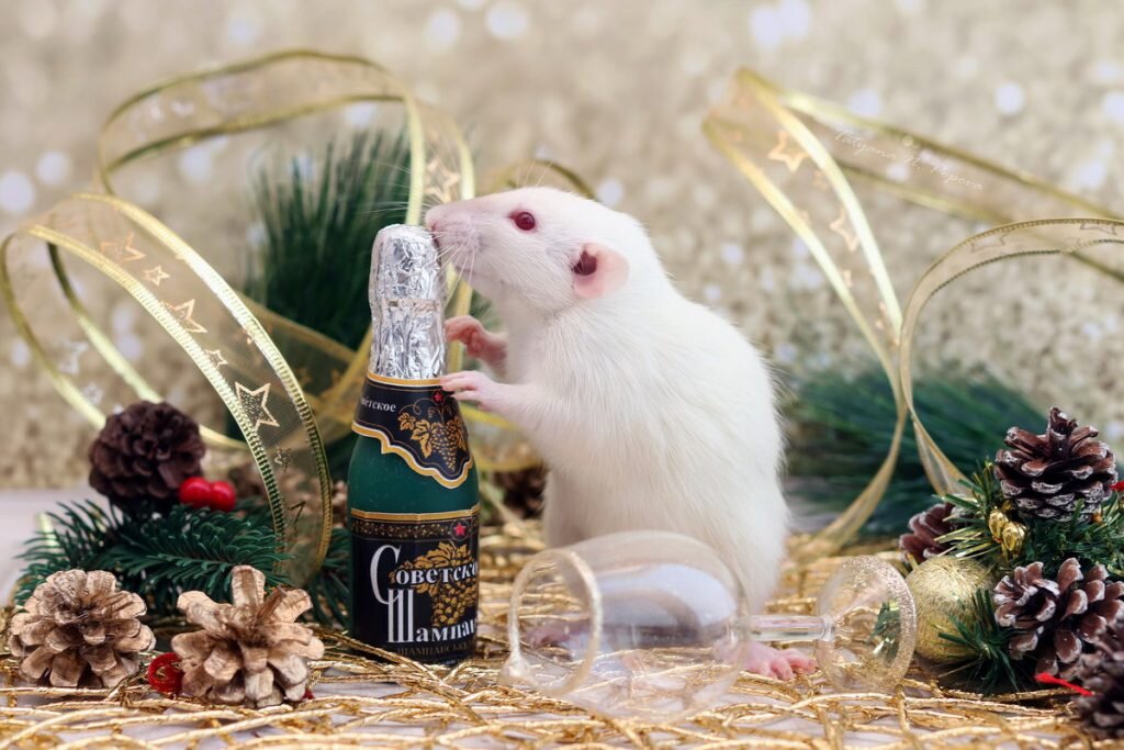 Поздравления с Новым годом тёте В год Крысы