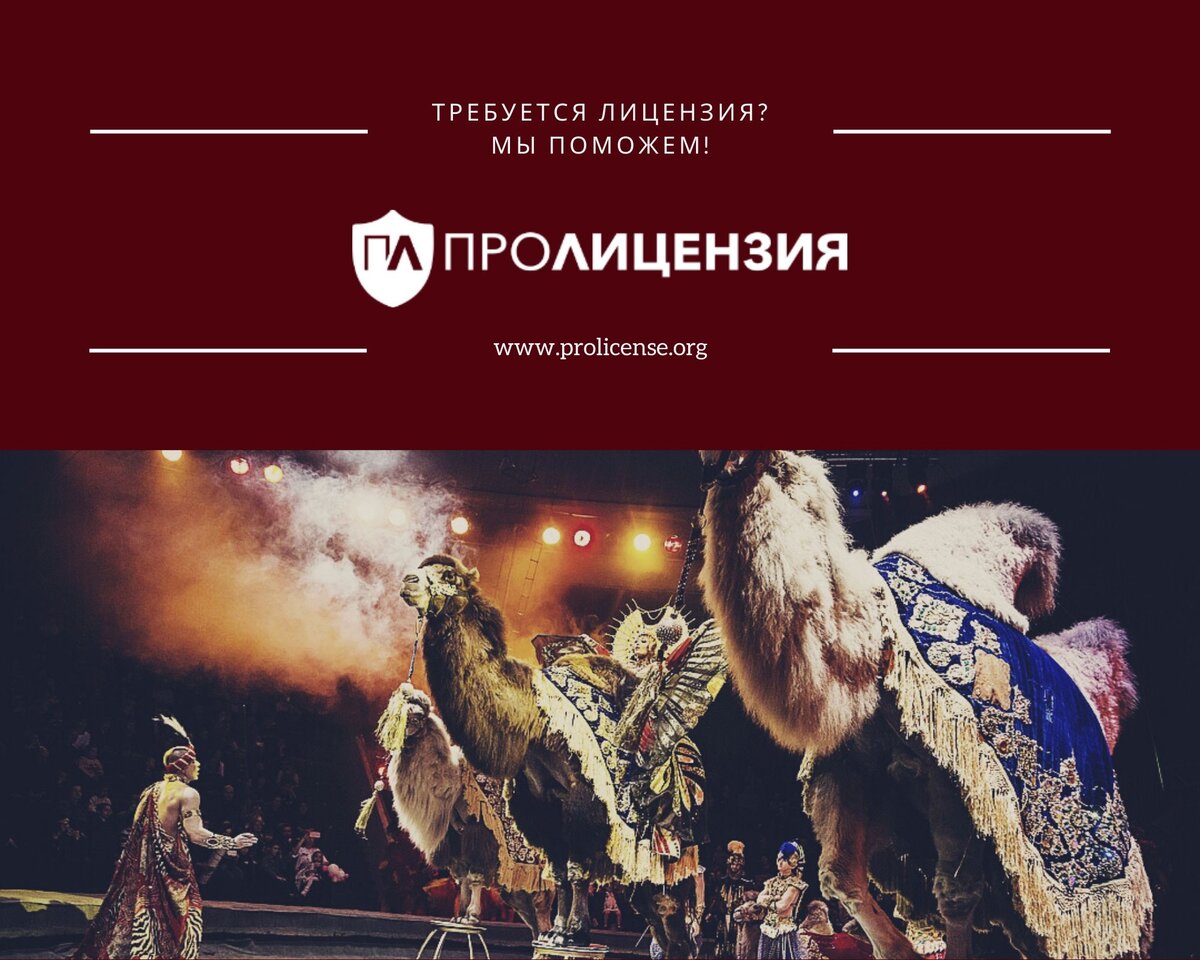 ПроЛицензия